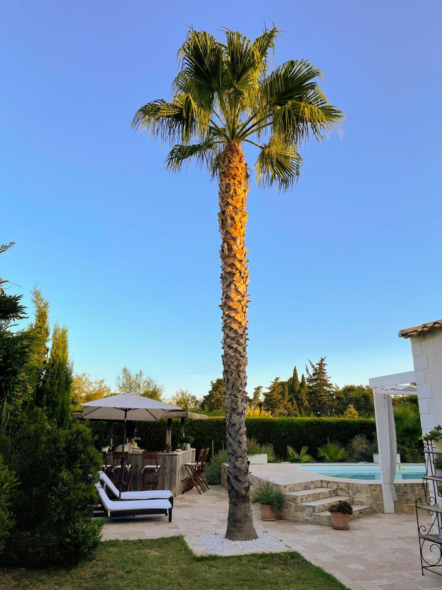 Aigues Marines Bed & Breakfast Eksteriør bilde